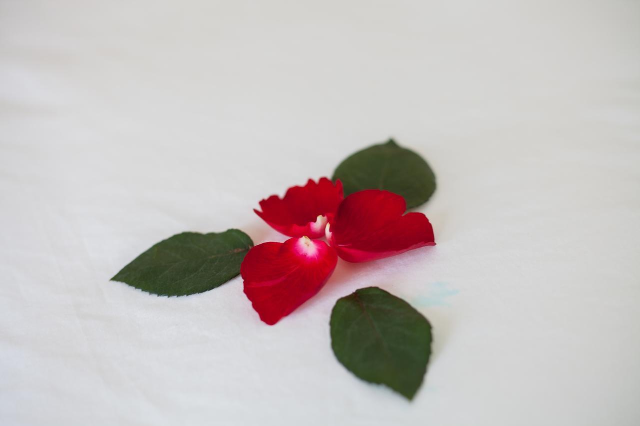 Sapa Tulip Hotel Eksteriør billede